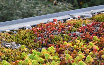 the cost of Poolmill green roof installation
